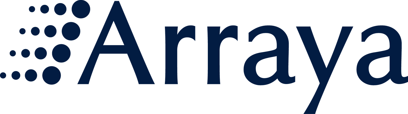 Arraya Solutions professional IT infrastructure services