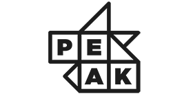 Peak AI Inc providing AI-powered decision intelligence and business optimization solutions