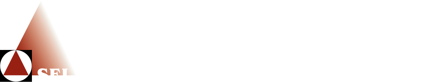 The Structural Engineers Limited